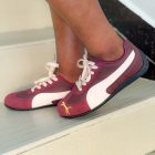 Speed Cat - Thao Tree